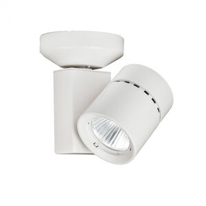 Exterminator II 1 Light 4.50 inch Flush Mount