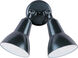 Spots 2 Light 11 inch Black Outdoor Wall Mount