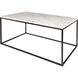 Aryaa 42 X 22 inch Coffee Table