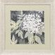 My Garden Green and White and Black Framed Art, Propac