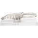 Wildwood Brushed Nickel/Clear Decorative Object
