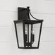 Adair 3 Light 19.25 inch Black Outdoor Wall Lantern