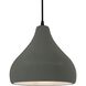 Radiance LED 11.5 inch Pewter Green and Matte Black Pendant Ceiling Light