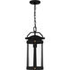 Clifton 1 Light 8.75 inch Earth Black Mini Pendant Ceiling Light, Small