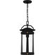 Clifton 1 Light 8.75 inch Earth Black Mini Pendant Ceiling Light, Small