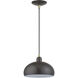 Domma 1 Light 10 inch English Bronze with Antique Brass Accents Pendant Ceiling Light