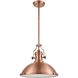 Chadwick Pendant Ceiling Light in Antique Copper