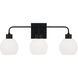 Tanner 3 Light 24.5 inch Matte Black Vanity Light Wall Light