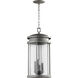 Hadley 4 Light 10 inch Graphite Outdoor Pendant