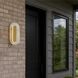 Wry Plexus 1 Light 5.88 inch Satin Brushed Gold Outdoor Wall Light