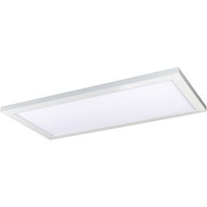 Blink Plus LED 12 inch White Flush Mount Ceiling Light