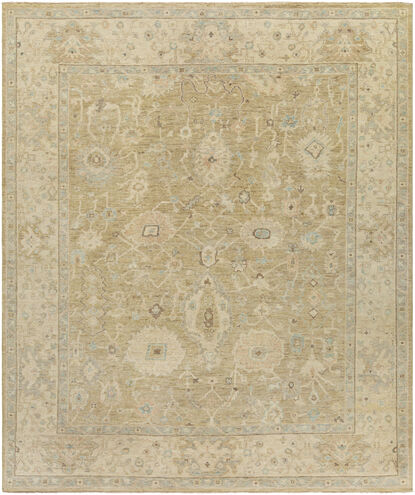 Normandy 120 X 96 inch Light Olive Rug in 8 x 10, Rectangle
