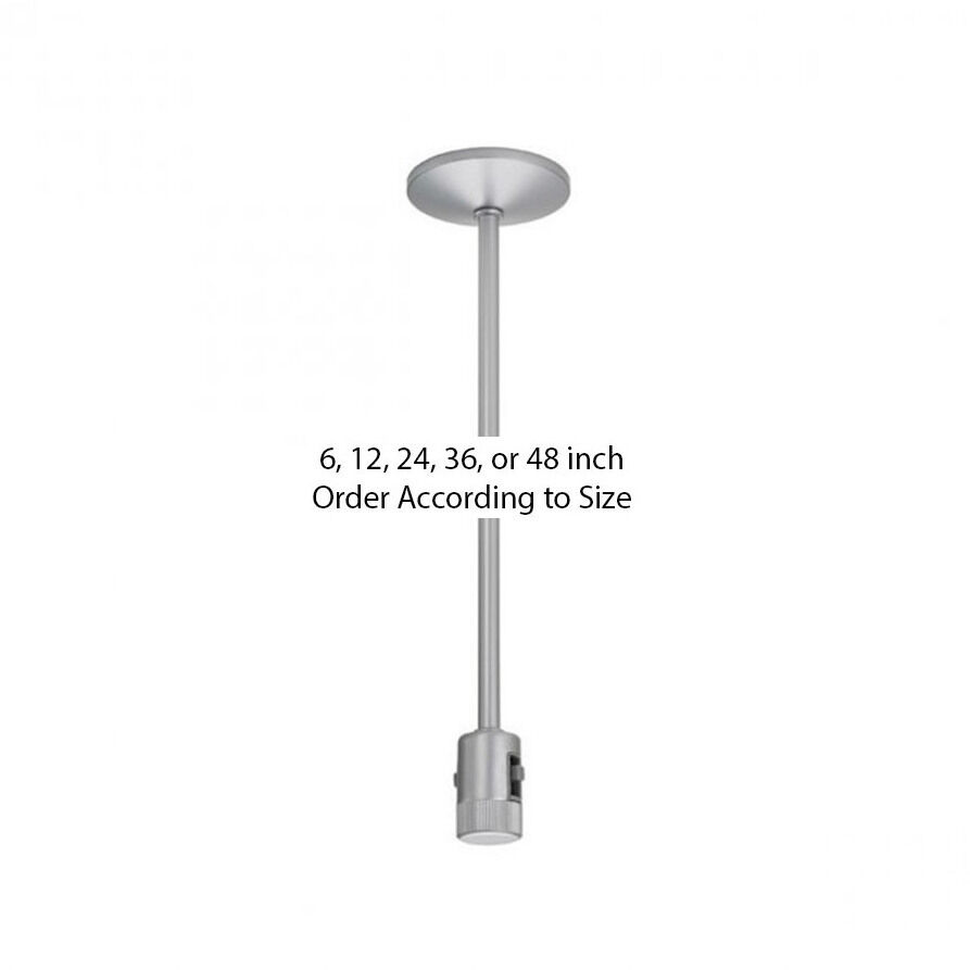 Flexrail 1 Platinum Track Accessory Ceiling Light, 48in