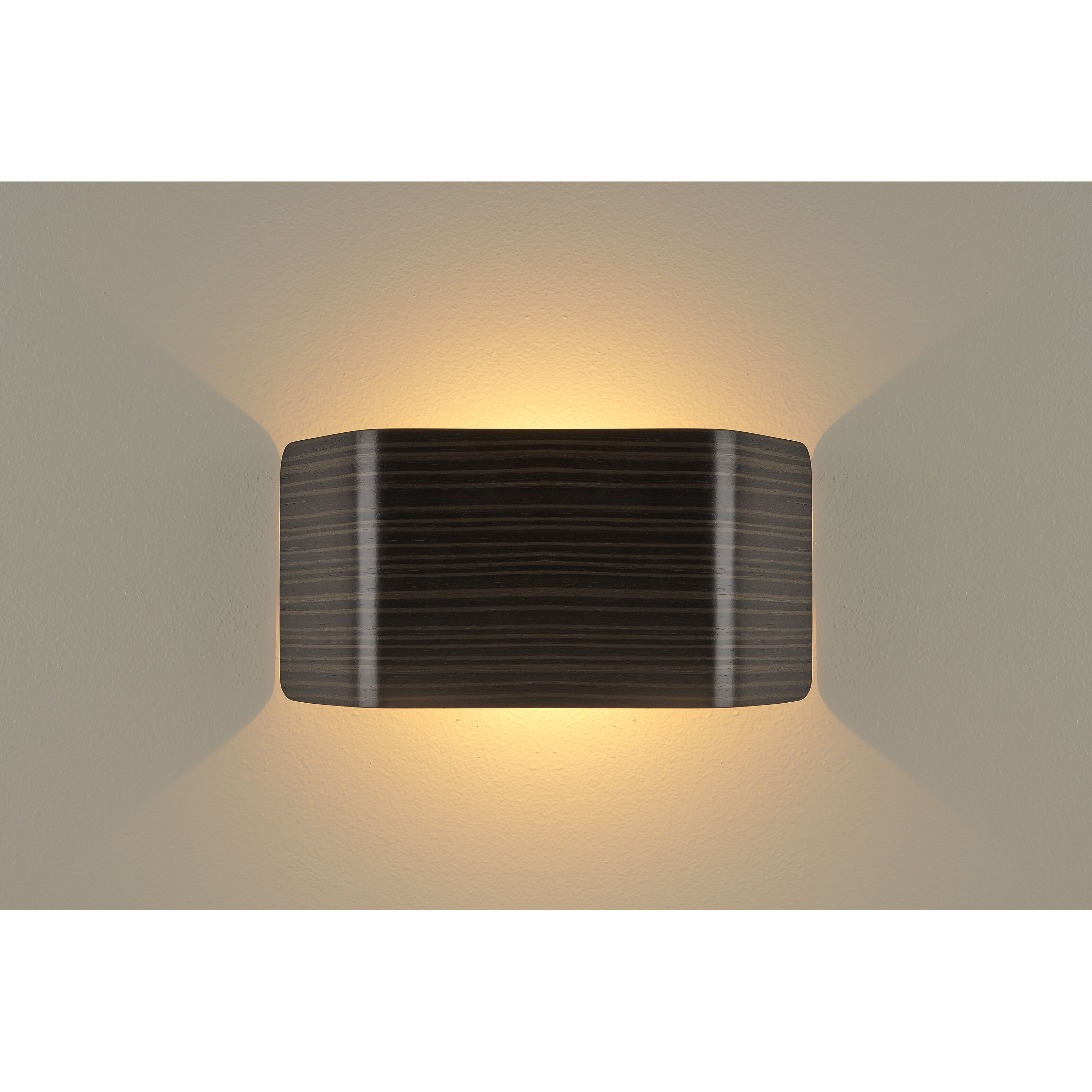 Zen LED Wall Sconce Wall Light in Black
