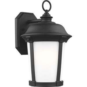 Calder 1 Light 17 inch Black Outdoor Wall Lantern