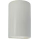 Ambiance Collection LED 12.5 inch Matte White Outdoor Wall Sconce