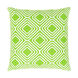Miranda 18 X 18 inch Grass Green and White Throw Pillow