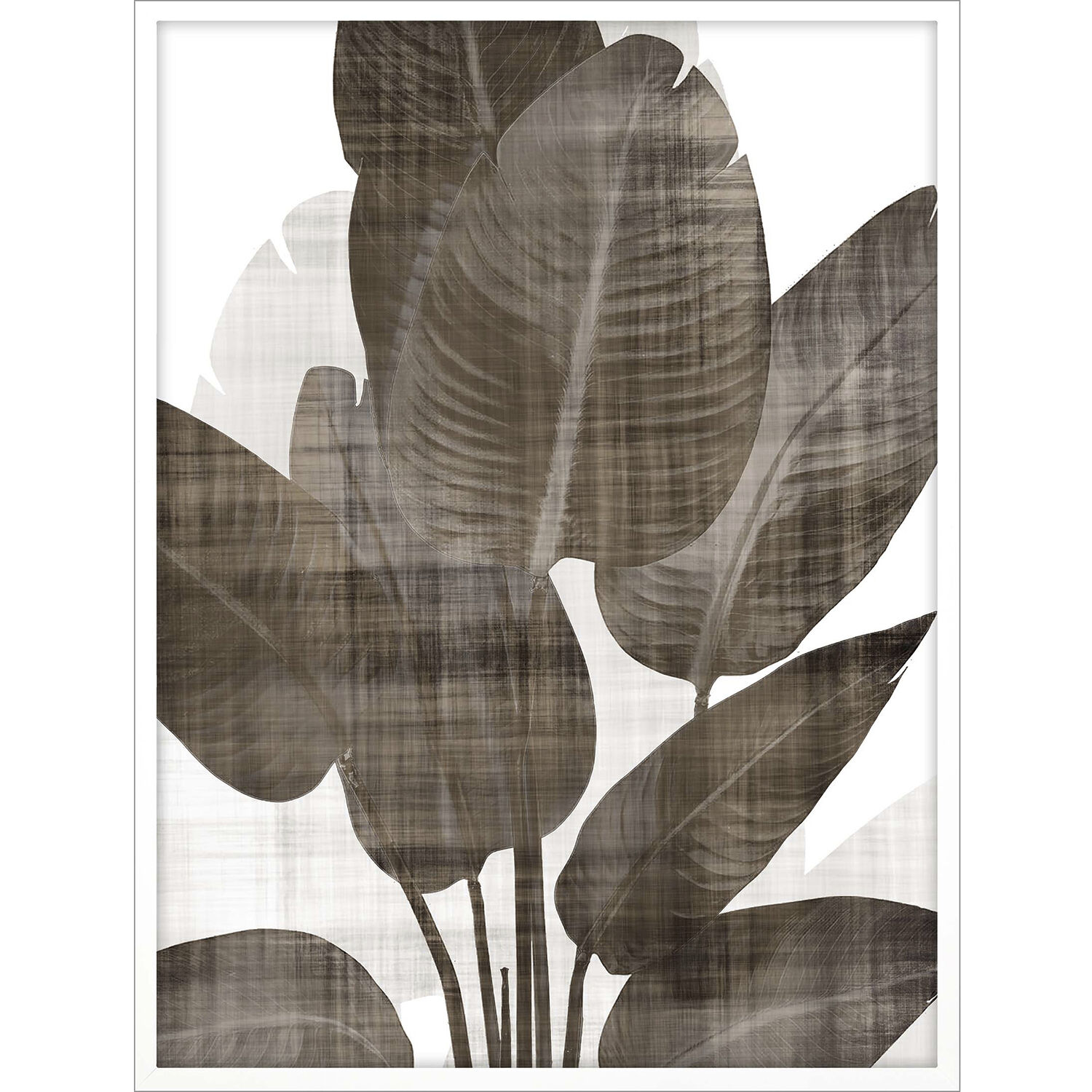 Earthy Palm Brown and White Framed Art