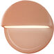 Ambiance LED 8 inch Gloss Blush Outdoor Wall Sconce in Incandescent