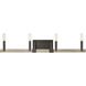 Transitions Vanity Light Wall Light