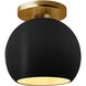 Radiance 1 Light 10 inch Carbon Matte Black and Champagne Gold and Brushed Brass Semi Flush Ceiling Light