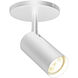 Stanly Matte White 50.00 watt 1 Light Spotlight