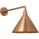 Thomas O'Brien Academy Barn Light LED 14.5 inch Soft Copper Mack Barn Light in 12.5" Soft Copper Conical Savannah Shade