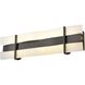 Tides CCT LED 24 inch Ebony Bath Vanity Wall Light