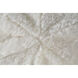 Freddie 12 inch White Indoor Pillow