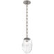 Meteo 1 Light 8 inch Beige Silver Pendant Ceiling Light in Clear, Diamond Chain