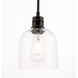 Codorus 1 Light 6 inch Black Pendant Ceiling Light