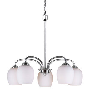 Signature 5 Light 23.00 inch Chandelier