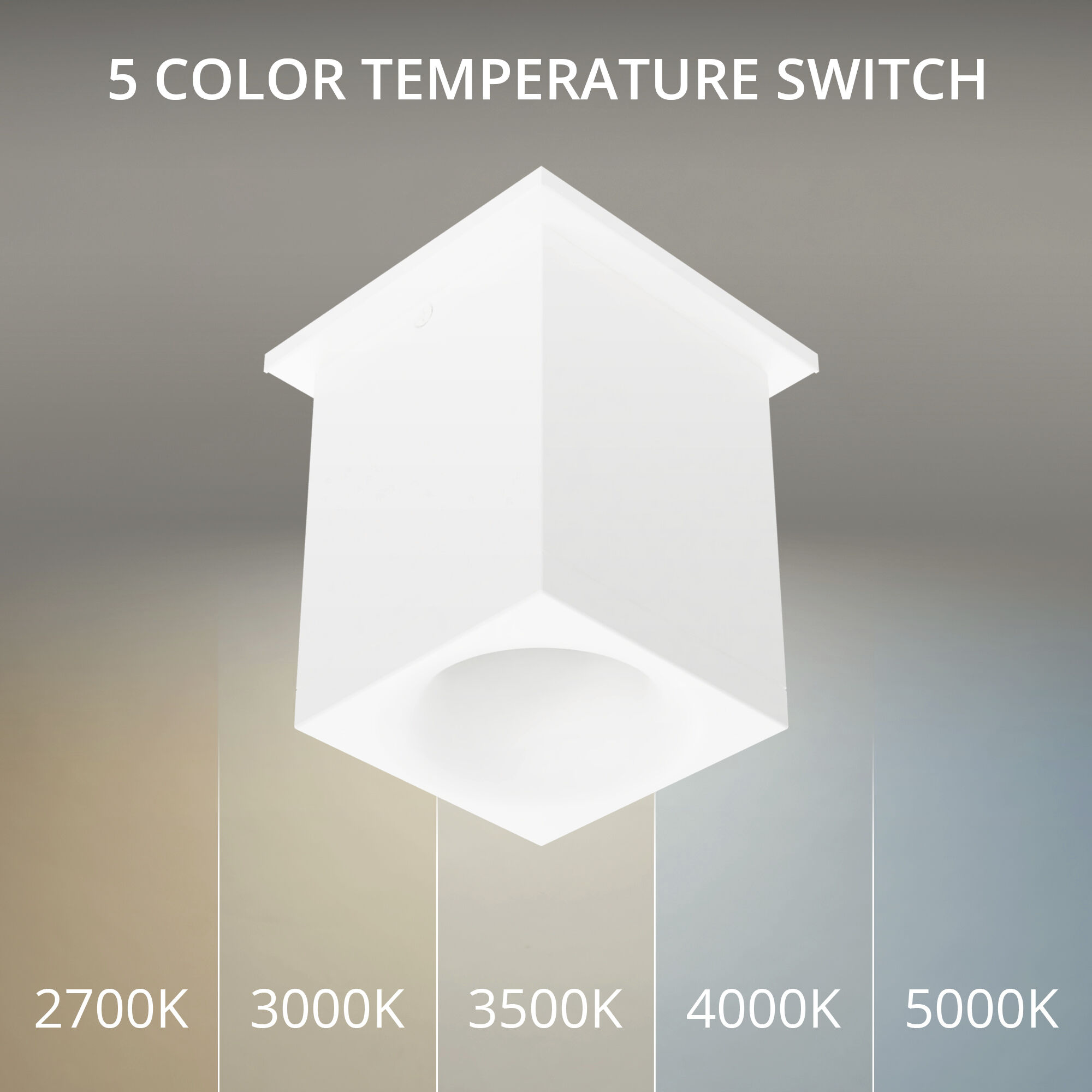 Zoron LED 3.63 inch Arc White Outdoor Ceiling Lighting