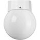 Polycarbonate Outdoor 1 Light 8 inch White Outdoor Wall Lantern