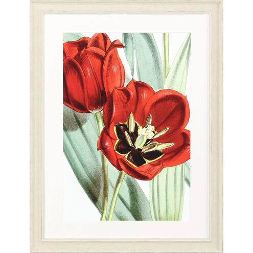 Florals Collection Red Framed Art