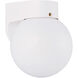 Outdoor Wall 1 Light 7.25 inch White Outdoor Wall Lantern