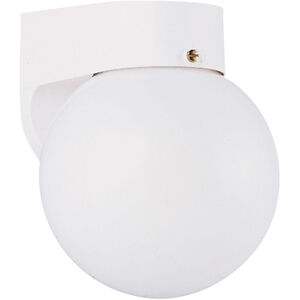 Outdoor Wall 1 Light 7.25 inch White Outdoor Wall Lantern
