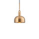 Forked LED 9.84 inch Brass Pendant Ceiling Light