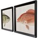 Paragon Multi and Beige and Green and Red Framed Art