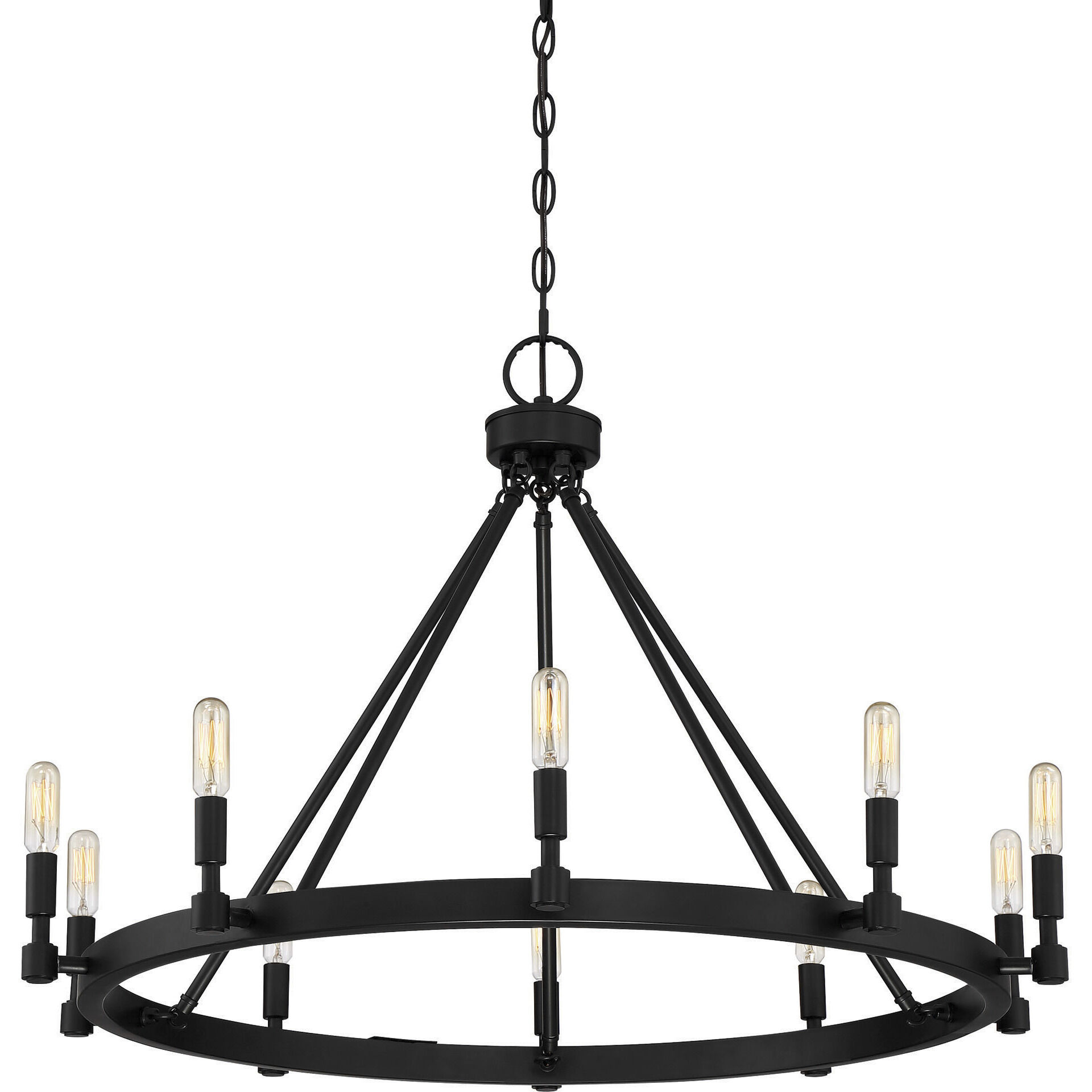 Fiora 10 Light 31 inch Black Chandelier Ceiling Light