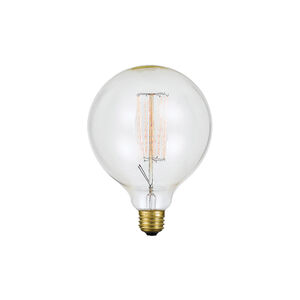 Edison Incandescent T8 E26 60 watt 120V 2200K Bulb