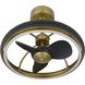 Arroyo Antique Brass and Black Ceiling Fan Extension Rod