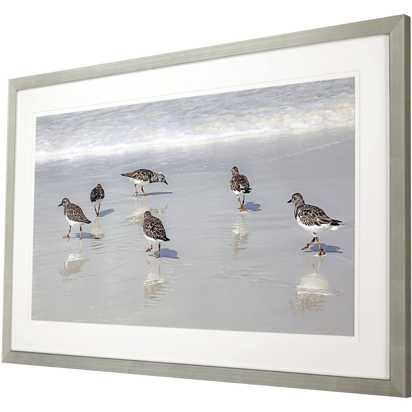 Animals White and Blue and Brown Framed Art