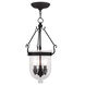 Jefferson 3 Light 10 inch Black Chain Lantern