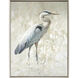 Great Blue Heron White Canvas