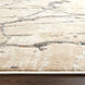 Dalia 36 X 24 inch Earth Tones Rug in 2 x 3