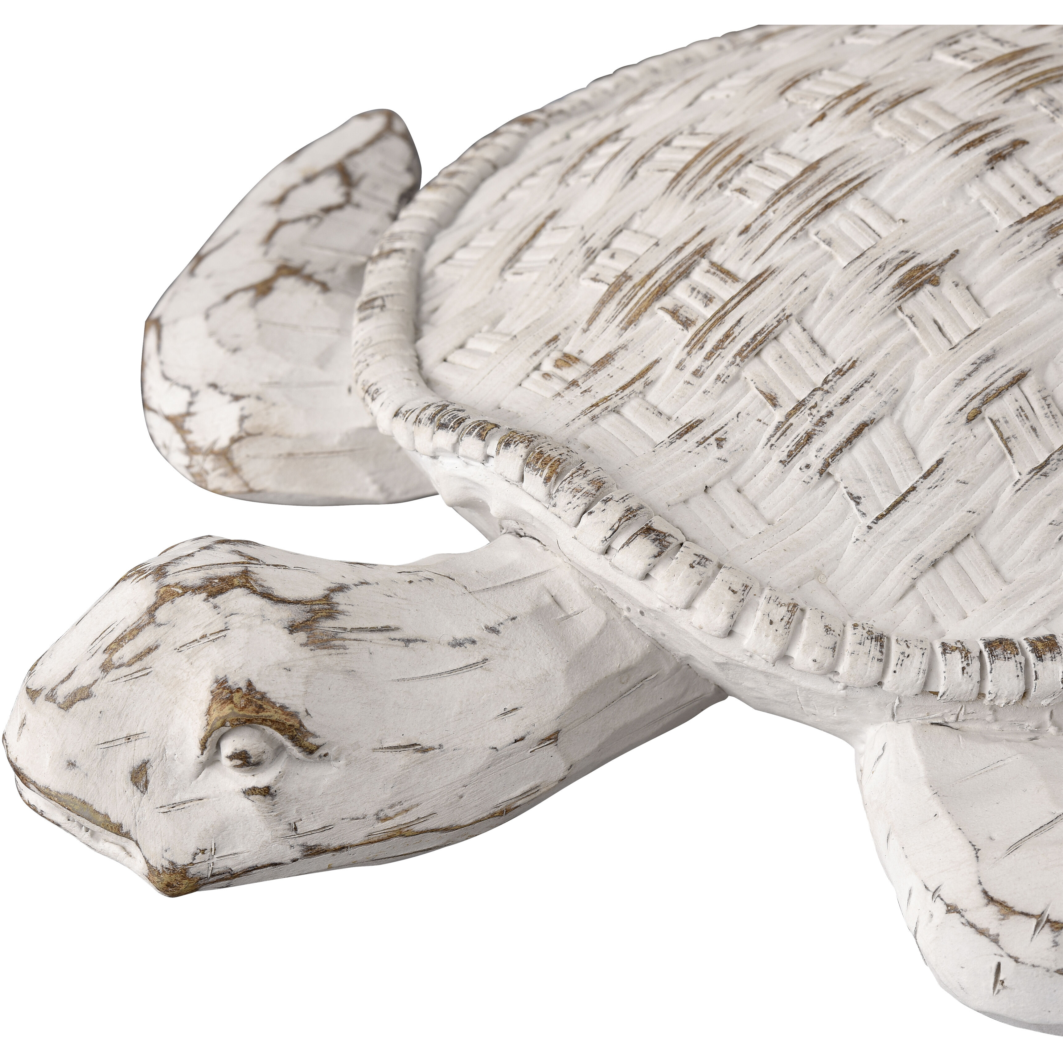 Aly Whitewash with Wood Tone Dimensional Wall Art, Turtle