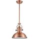 Chadwick Pendant Ceiling Light in Antique Copper