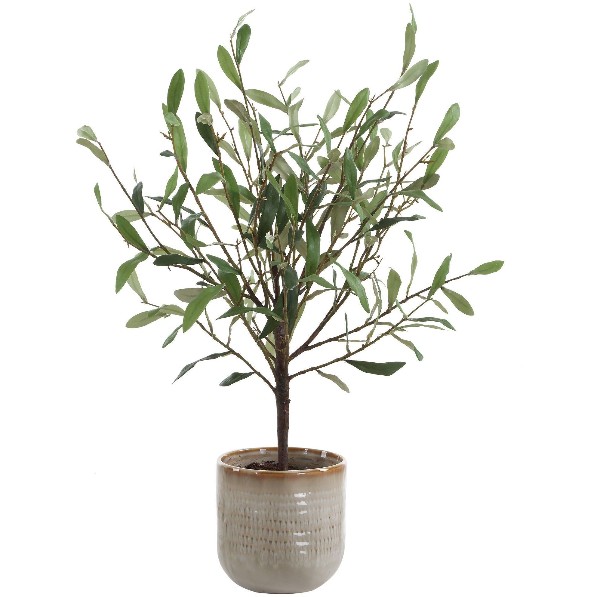 Solea Olive Neutral Tan and Green Accent & Vase