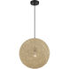 Entwined 1 Light 16 inch Coal Pendant Ceiling Light